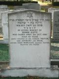 image of grave number 50307